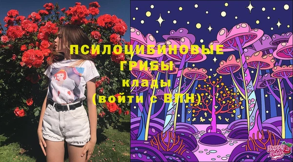 СК Алексеевка