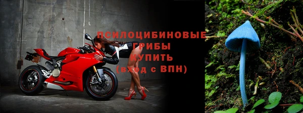 СК Алексеевка