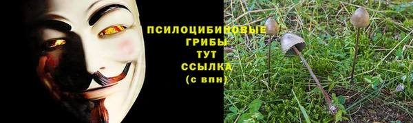 СК Алексеевка