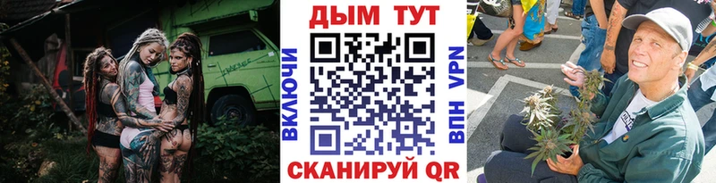 Конопля сатива Лянтор